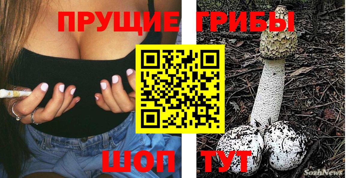 Азов  Псилоцибиновые грибы ЛСД  Галлюциногенные грибы прущие грибы  Вход с VPN 